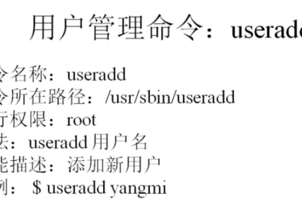 Linux命令行下有哪些常用的svn命令