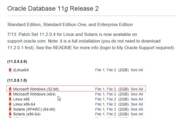 C盘中Oracle数据库文件的安全性深度考察  第1张