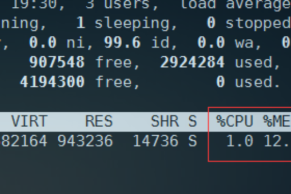 Linux如何使用Pmap命令查看进程用了多少内存