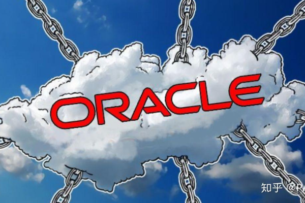 变化仰望星空中Oracle的新一代变革  第1张