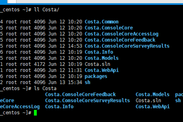 怎么在Linux中安装微软的 .NET Core SDK