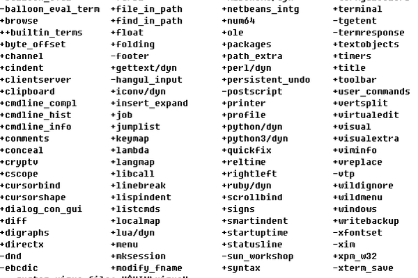 windows下安装vim  第1张