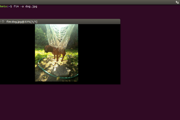 怎么在Linux终端中显示图片  第1张
