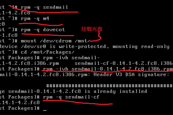 如何在Linux系统中安装sendmail？