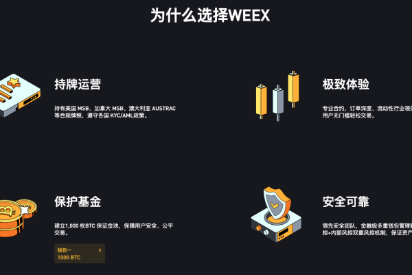 WEPE是什么？探索这一工具的用途与功能  第1张