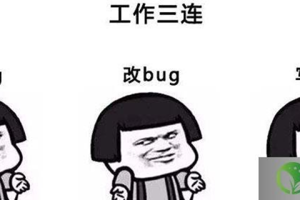 网络用语中的bug究竟指的是什么？