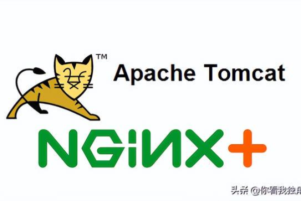 Apache和Tomcat，它们是合作伙伴还是竞争对手？