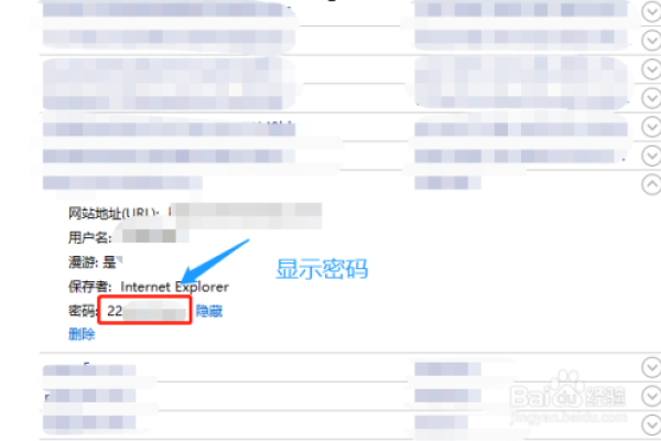 如何查看网页中保存的星号密码？小编有妙招！