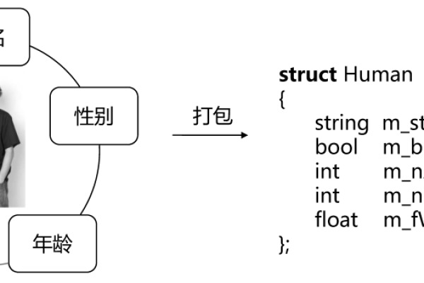 c语言结构体怎么理解