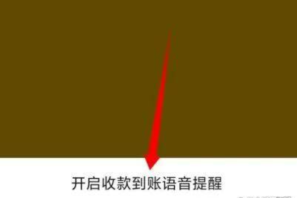 微信怎么设置收款声音，微信怎么开启收款语音「微信怎么设置收款提示语音」