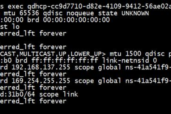 openstack vm ip无故丢失的原因是什么「openstack floating ip」