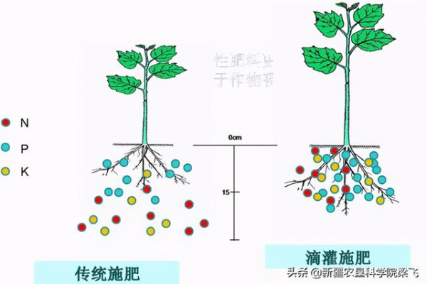 如何构建Ceph「如何构建测土配方施肥长效机制」