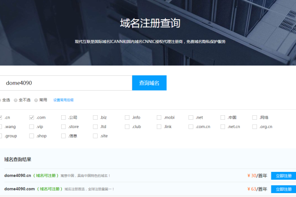 中文域名注册查询,域名注册网站查询