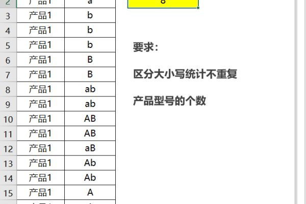 域名区分大小写吗