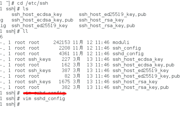 linux查看ssh版本命令  第1张