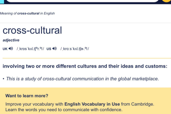 英文网页怎么变成中文 网页英文一般用什么字体,英文网页如何转换中文