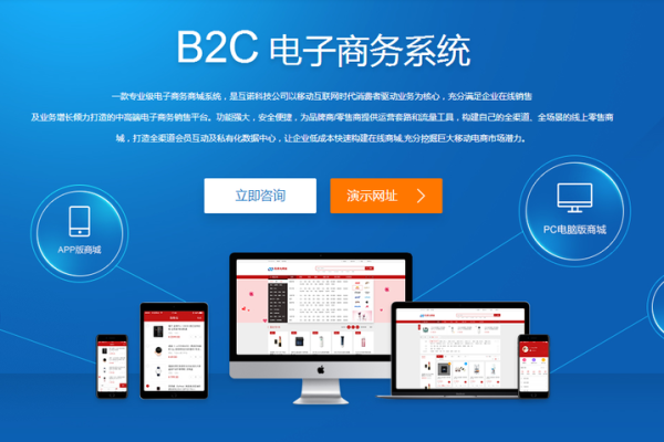 b2C购物网站都有哪些,什么网站属于b2c电子商务购物网站