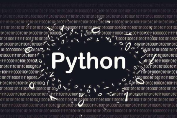 python 如何清理内存占用