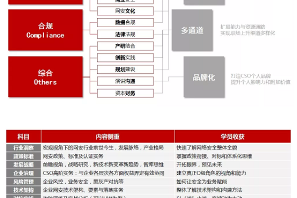 cso是什么职位