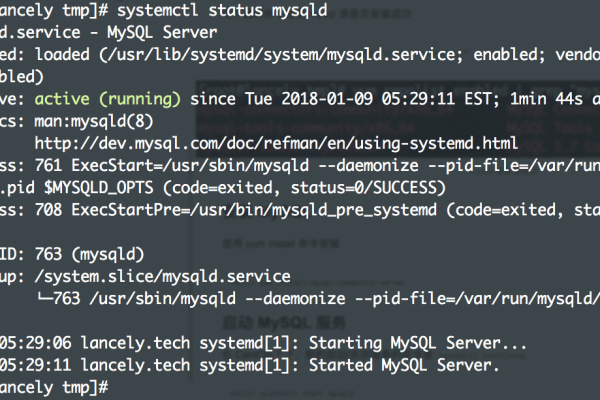 为什么使用Shell命令启动MySQL服务时，日志显示成功但实际没有启动？