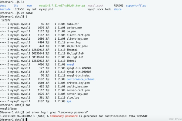 如何查询MySQL中每个数组内数据库的集群参数组？