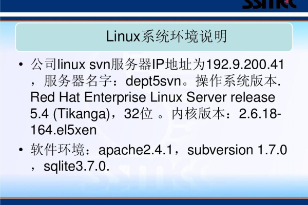 如何在Linux环境下搭建并使用SVN服务器？