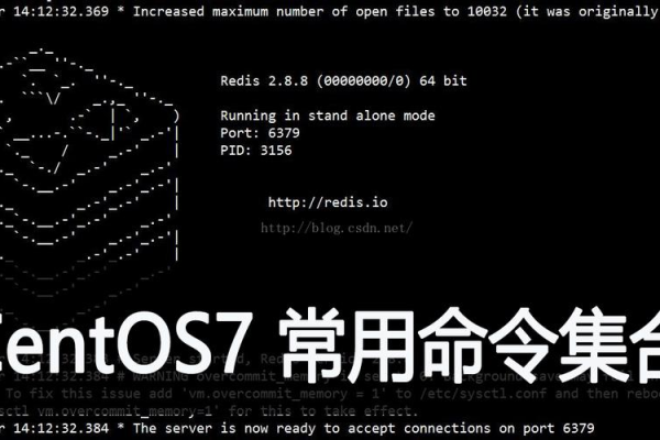 centos更新命令  第1张