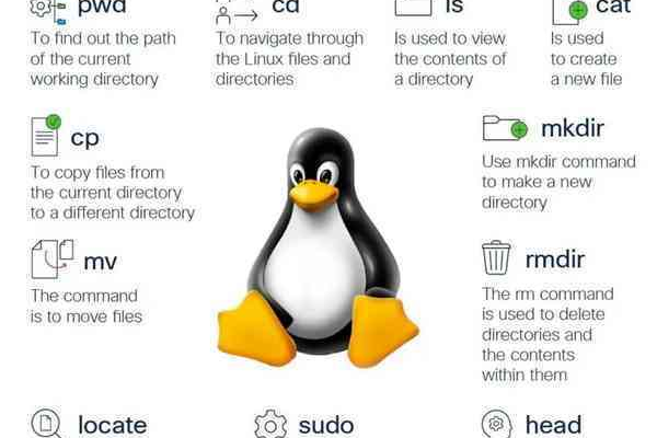 linux中有哪些必学的命令  第1张