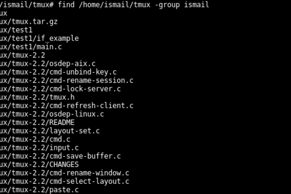 Linux中使用find命令的示例分析