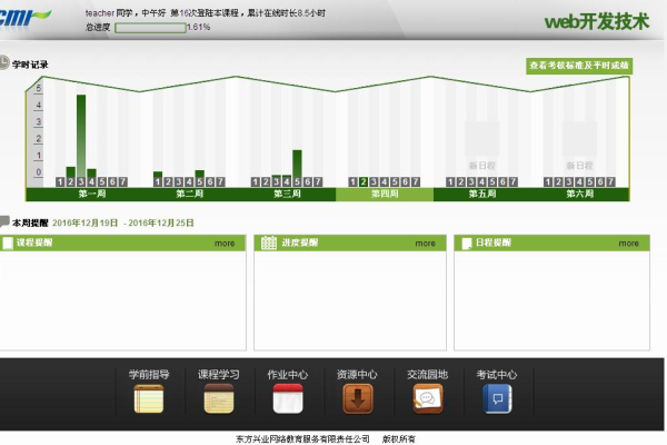 中国软件技术开发公司,软件技术web开发与设计