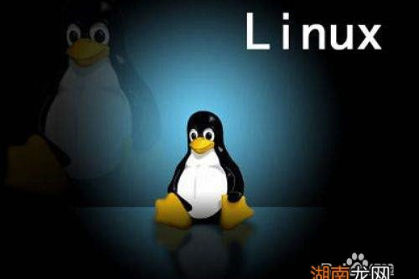 怎样学好linux运维