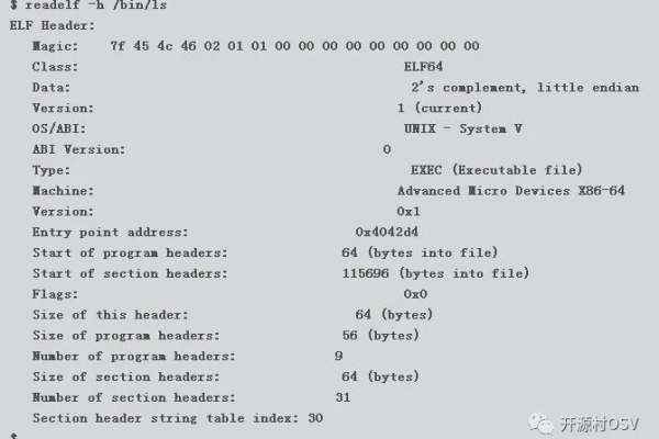 linux如何查看二进制文件内容信息