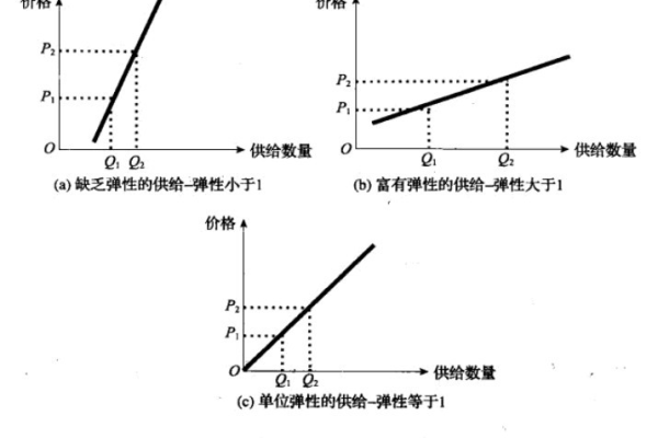 弹性计算在什么情况下是最适用的？  第1张