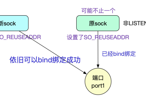 socket编程之bind函数怎么使用