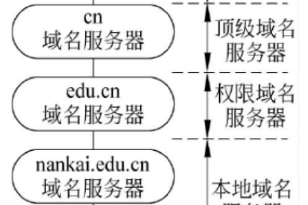 域名服务器的分类,下列有关域名服务器分类不正确的是