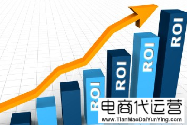 电商roi  第1张