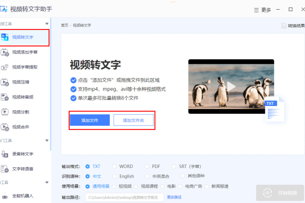 视频转文字软件免费版那个人力?  第1张