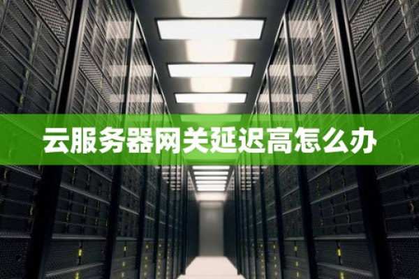 荷兰云服务器租用延迟高怎么解决