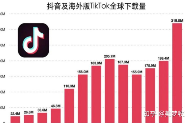 海外抖音TikTok运营服务器租用  第1张