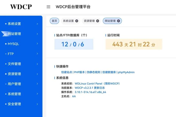 wdcp 解析域名  第1张