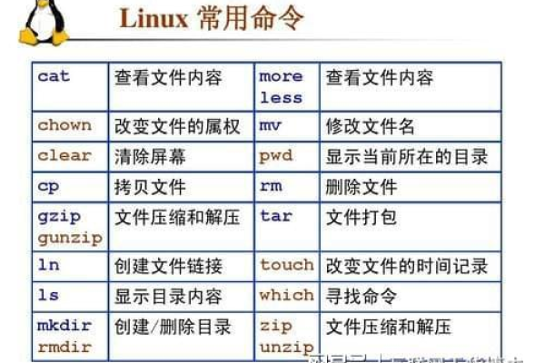 Linux磁盘管理中df命令详细介绍以及如何使用