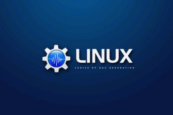 Linux系统使用dig或nslookup命令查看dns解析的方法是怎样的