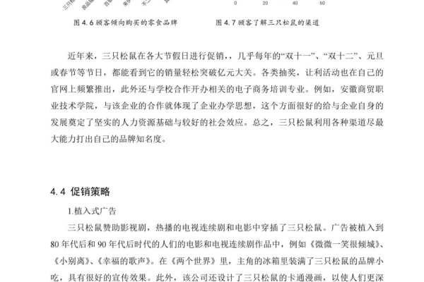 如何利用可视化监控进行品牌营销分析论文