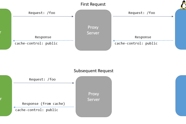 如何在Linux上配置ASP.NET Core Web服务器？