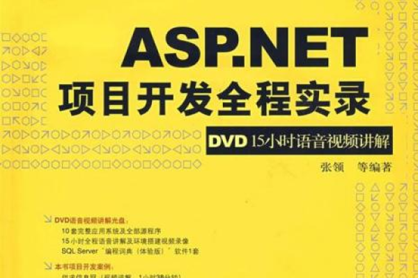 如何通过ASP.NET API视频教程快速掌握开发技能？