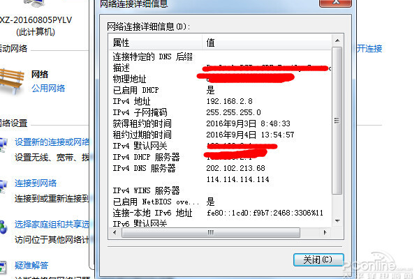 如何进行IP查询以确定域名信息？