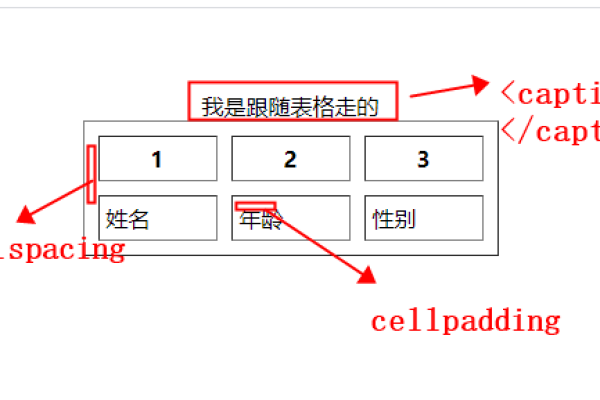 如何创建和编辑HTML表格？