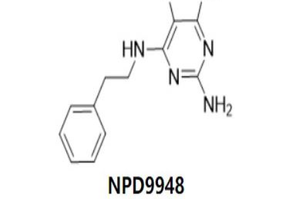 9465cdn.是什么？探索其背后的含义与用途