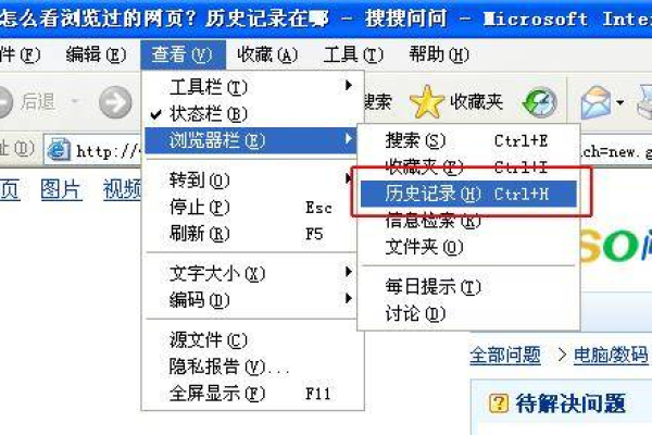 如何进行网站历史查询？  第1张