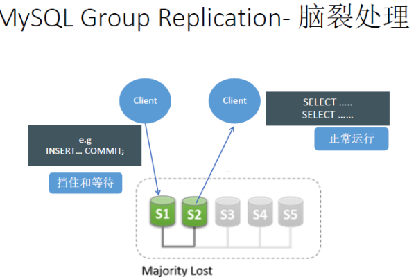 MySQL高级组件有哪些？探索其功能与应用